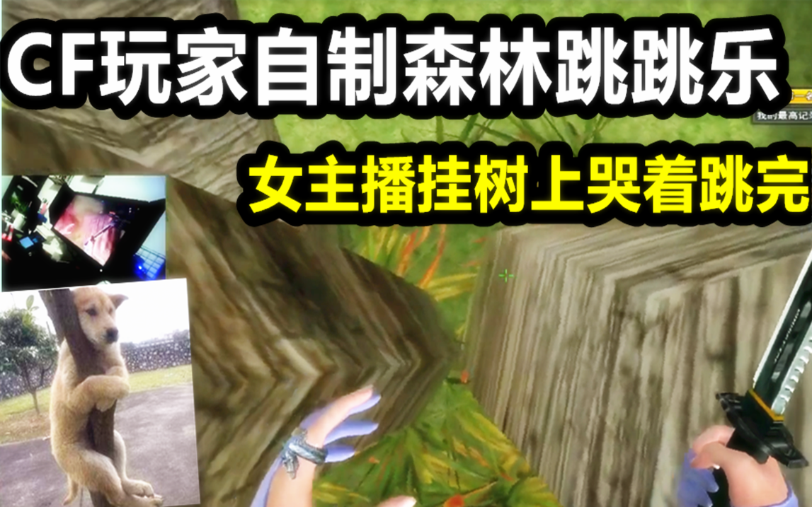 cf默心:cf自制跳跳乐,女主播惨被挂树哭着过关!