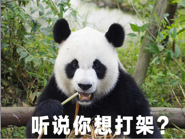 我虽然可爱但是我可以照顾好自己－中路法师详细打法