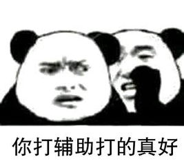 辅助≠躺！辅助≠混分！别找借口了，这才是辅助的终极奥义！