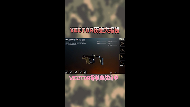 СõսռǣһβΪ֪VECTORʷ£